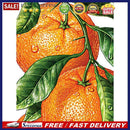 5D Diamond Painting Kit DIY fruit Full Round Drill Mosaic Picture Art