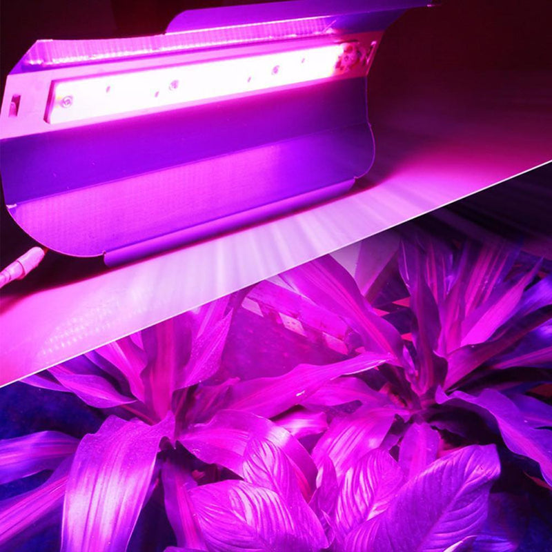 50W Full Spectrum IP67 Waterproof Plant Flower COB LED Grow Light(90-130V) Newly