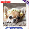 5D DIY Diamond Painting Flower Dog Full Round Drill Mosaic Picture Wall Art Kit