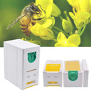 King Box Garden Supplies Beehive Foam Feeder Bee Mating Box Mating Equipment