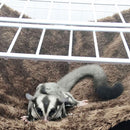 Small Animal Hammocks Double Bunkbed Pet Cage Rabbit (Purple Small) Newly