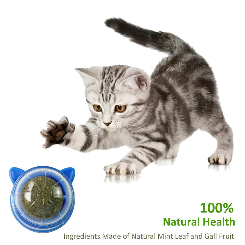 Catnip Ball Pets Cat Toys Rotatable Licking Balls Kitten Teeth Chewing Clea
