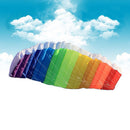 Dual Line Parafoildragon with Control Bar Power Braid Sailing Kites