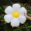 INS Daisy Aluminum Film Balloon Sun Flower Birthday Prop (Middlle Daisy)