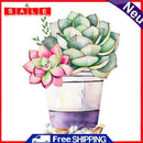 Drill Point Handicraft Succulent Plants Diamond Embroidery Diamond Painting Kits