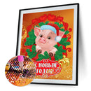 #A 5D Christmas Series Diamond Mosaic Partial Special Shape Drill Drawing Kit De