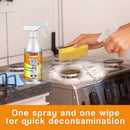 Kitchen Grease Foam Cleaner Grease Degreaser Oil Dirt Rust Cleaning Spray
