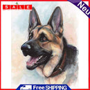 Dog Oil Paint By Numbers Kits DIY Canvas Wall Art Picture Craft Home Decoration