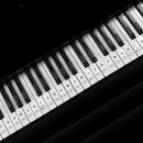 Transparent PVC Key Stickers for 37 49 54 61 88 Keys Electronic Keyboard Piano