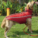 Pet Winter Jacket Vest with Zipper 3 Size Labrador Bulldog Household Pet Ou