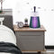 #A Mute Electric Mosquito Killer Lamp Pest Control Night Lighting Killing Lamps