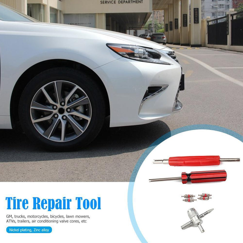 4pcs Tire Schrader Valve Core with Dual Single Head Remover+4-Way Valve Too