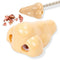 Creativity Nose Pencil Sharpener Funny Stationery School For Kids Gifts N6F2