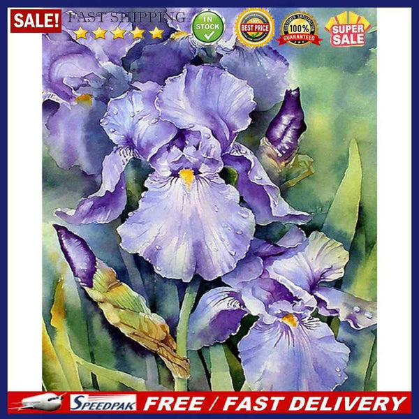 Iris Oil Paint By Numbers Kits DIY Handpainted on Canvas Wall Art Picture Cra