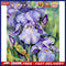 Iris Oil Paint By Numbers Kits DIY Handpainted on Canvas Wall Art Picture Cra