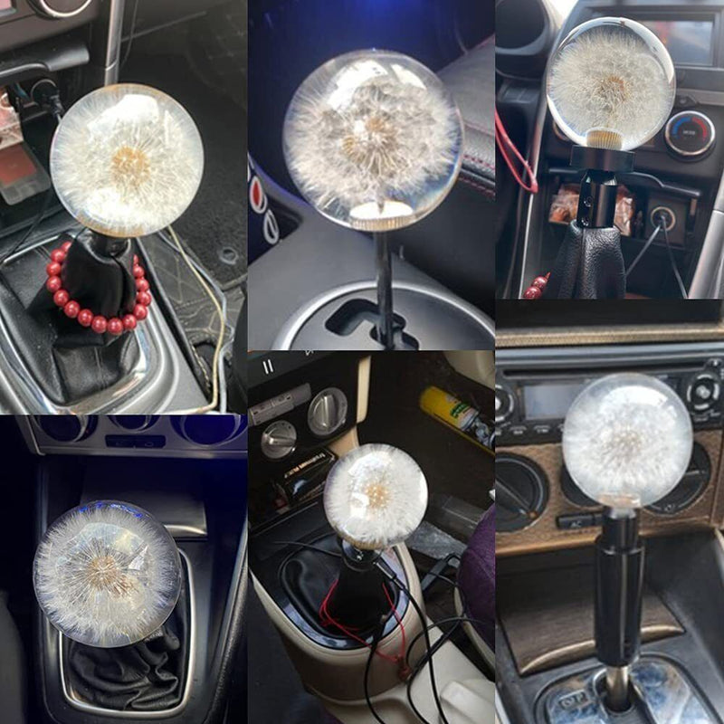70MM Head Crystal Ball Dandelion Real Flowers Shift Knob Universal Shift Head