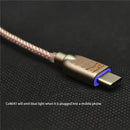 Type-C to 3.5mm HiFi Digital Headphone Amplifier DAC Audio Adapter Cable Cs46L41