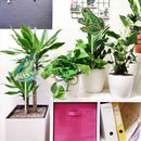 2x DIY Diamond Painting Flower Pot Plant Decor Stick Home Ornaments (HBJ19)