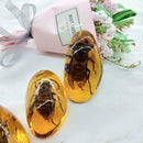 Beautiful Amber Hornet Fossil Insects Manual Polishing Decor O8N5
