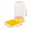 Entrance Bee Feeding Water Beekeeping Automatic Drinking Bowl Input Feeder Cap