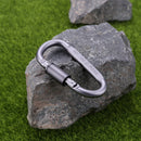 #QZO 2Pcs Carabiner Screw Lock D-Shaped Hook Keyring Clip Camping Hiking Who