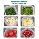 Food Storage - Fridge Divided Container to Storing Chopped Green Onion Garlic