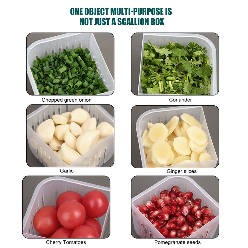 Food Storage - Fridge Divided Container to Storing Chopped Green Onion Garlic