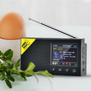 LCD Display Bluetooth 5.0 Digital Radio Stereo DAB FM Audio Player Receiver