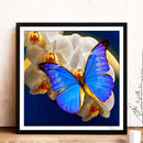 5D Diamond Painting DIY Butterfly Flower Full Round Drill Home Decoration Newly