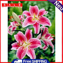 5D DIY Diamond Painting Full Round Drill Calla Lily Wall Decor Rhinestone Art
