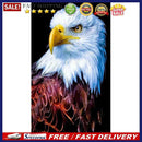 White Eagle Oil Paint By Numbers Kits Canvas DIY Picture Craft Coloring Drawing