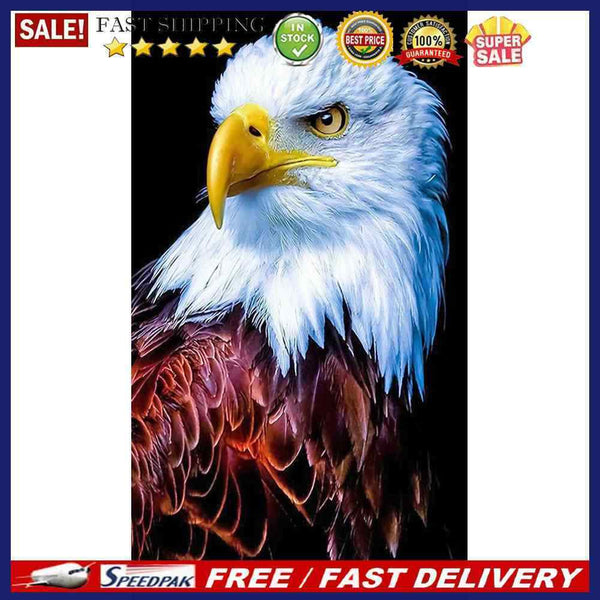 White Eagle Oil Paint By Numbers Kits Canvas DIY Picture Craft Coloring Drawing