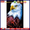 White Eagle Oil Paint By Numbers Kits Canvas DIY Picture Craft Coloring Drawing