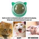 Catnip Ball Cat Toys Licking Teeth Chewing Pet Training Bite Balls (Green)