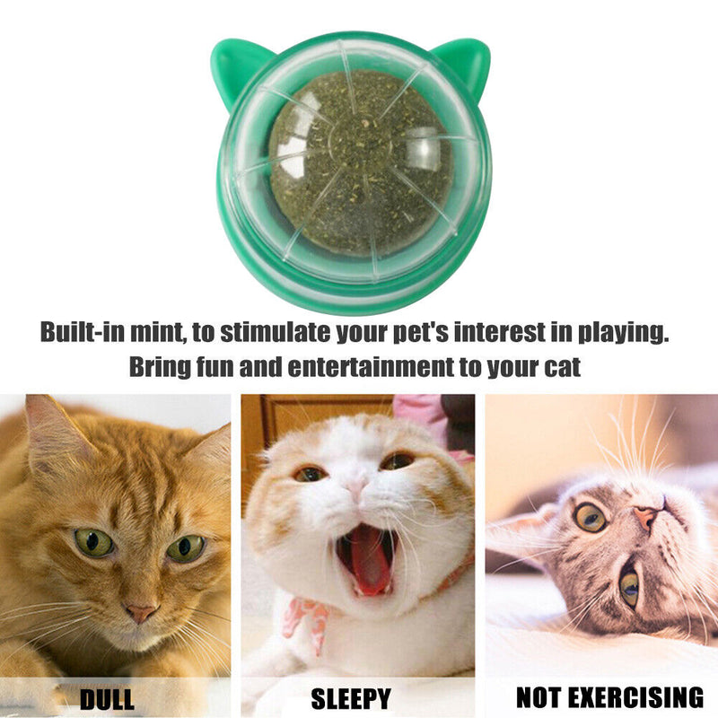 Catnip Ball Cat Toys Licking Teeth Chewing Pet Training Bite Balls (Green)
