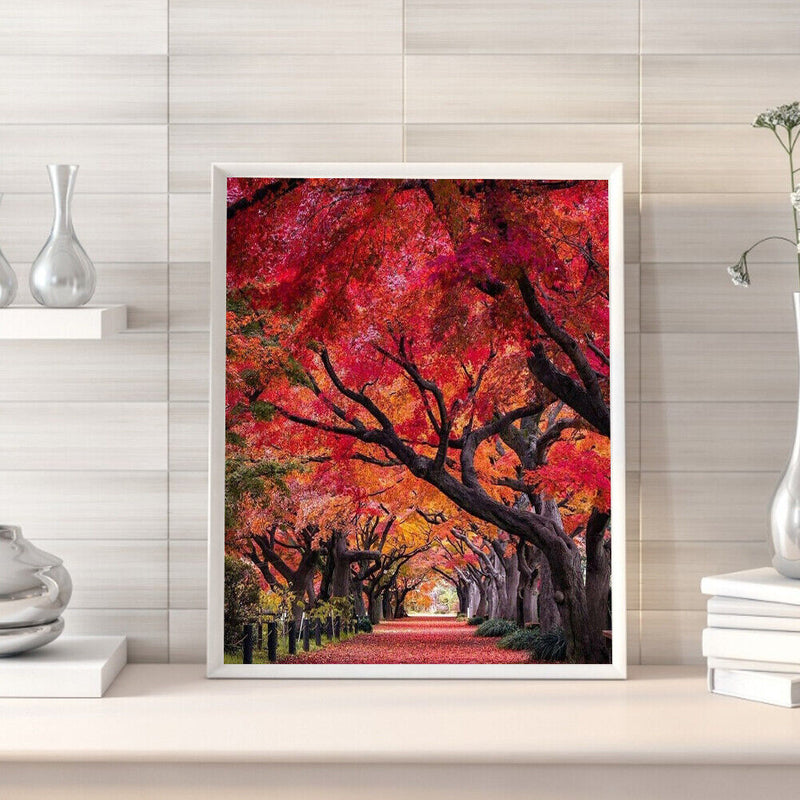 Path Scene Drawing Frameless DIY Oil Paint by Numbers Canvas Home Decor Kit