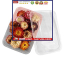 Dried Flower Material - Real Pressed Dry Flowers & Leaves Set for Nail Art Ma