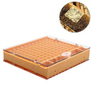 Cultivate Box Beekeeping Tool Set Bees Tools Rearing Cup Kit Queen Rearing Kit