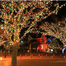 10M 100LED String Fairy Lights Indoor/Outdoor Christmas Party Light Lamp