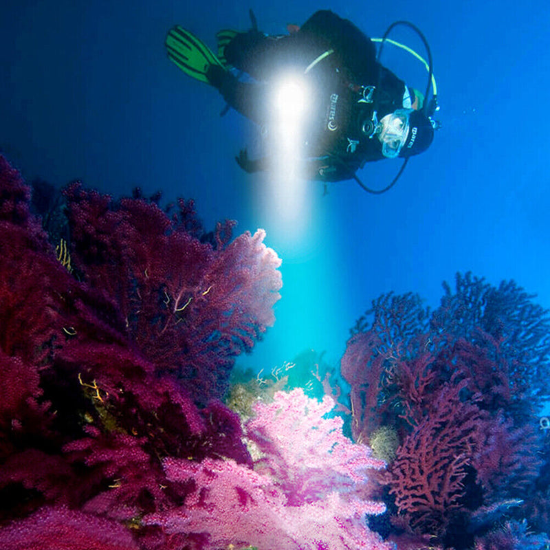 Portable T6 LED Scuba Diving Flashlight Lamp IPX8 Waterproof 400lm Camping Torch