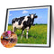 #A 5D DIY Diamond Painting Full Round Drill Cattle Rhinestone Art Crafts Home De