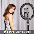 Color Temperature Video Light Kits LED Ring Light Dimmable For Tik Tok Youtube