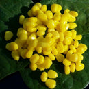 11mm 50X Corn Smell Carp Fishing Bait Soft Silicone Floating B Bait Plastic P3Q1
