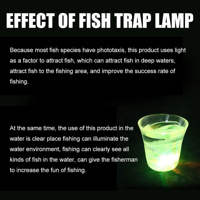 Fishing Light Underwater Fish Attracting Indicator Lure LED Fishing Flash L