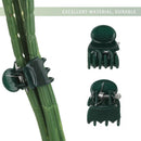 Graft Orchid Stem Clip Plant Clips Gardening Tool Vine Support Bundle