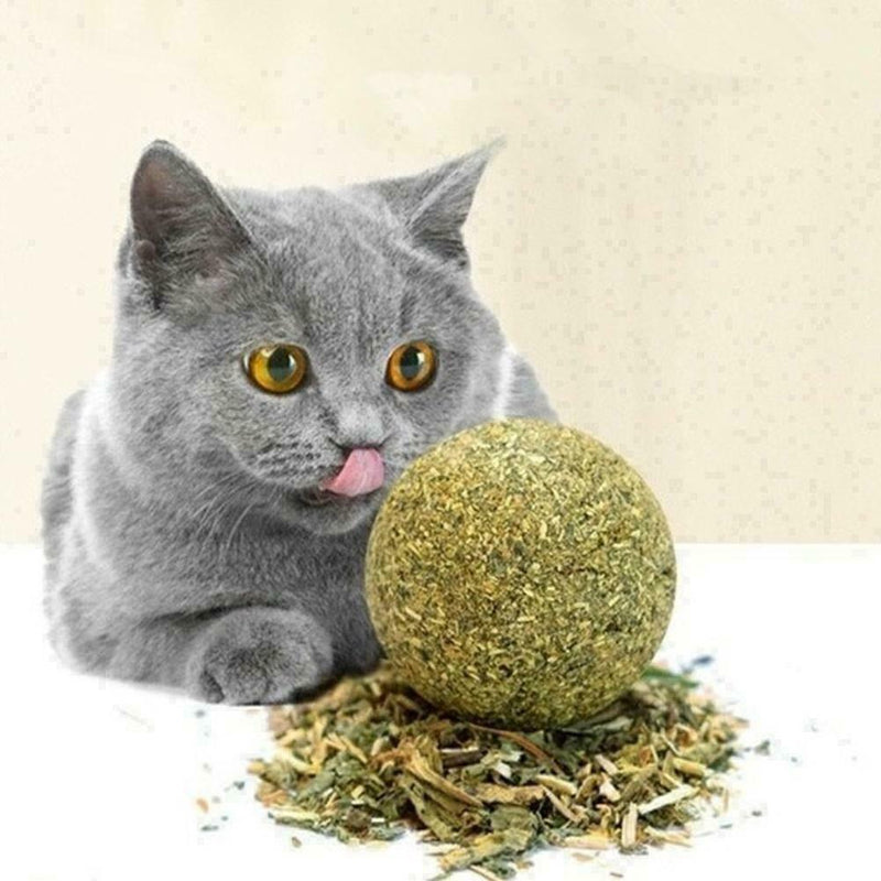 Cat Snack Catnip Ball Lick Nutrition Ball Help Digestion Q1I0 O2U2 H0D7