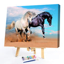Painting By Numbers Kit DIY Fine Horse Hand Painted Canvas Oil Art Picture Craft