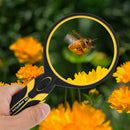 5X Magnifying Optical Glass Lens Handheld Microscope with LED Light Magnifier