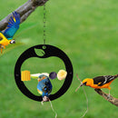 Hanging Fruit Food Holder Cage Container Outdoor Yard Gardening Tree Bird Feeder