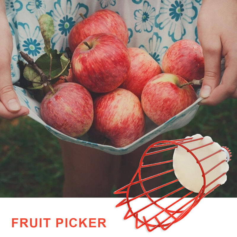 Garden Tools Metal Apples Pears Peaches Oranges Gardening Fruits Catcher Pi